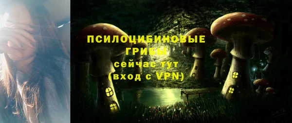 а пвп мука Бугульма