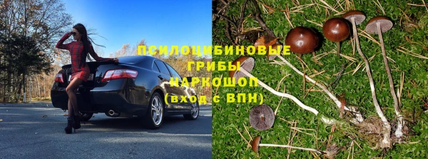 гашик Бронницы
