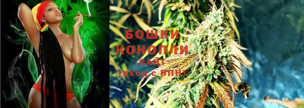 гашик Бронницы