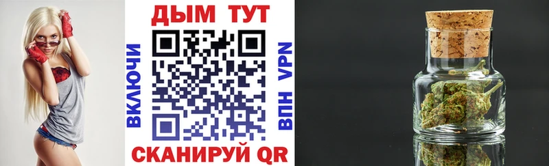 Конопля конопля  где купить наркотик  Гуково 